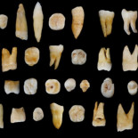 Los humanos habitan China desde hace más de 80.000 años