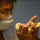 Los peores trabajos de todos los tiempos