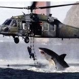 Así trabajan los Hoax Hunters, los cazadores de mentiras en la red