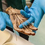 ¿Qué pasa cuando donas tu cuerpo a la ciencia?