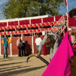 Educación da un premio de 30.000 euros a la escuela taurina que perdió la subvención de Carmena