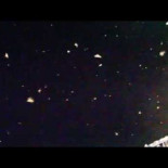 Cientos de pájaros paran a reposar en un barco en medio del Báltico