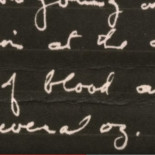 Morir de serpiente- un científico graba su último día de vida (ENG)