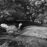 ¿Qué pintura nos impresiona más por su realismo y detalle?