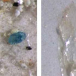 Encontrados pedazos microscópicos de plástico en la sal de mesa china