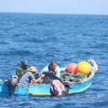 Las orcas aprenden a ‘robar’ a los pescadores del Estrecho