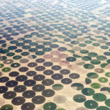 Arabia Saudí  acaba con sus cultivos de trigo para salvar sus reservas de agua  (ENG)