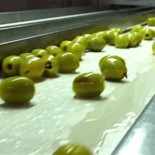 Cómo funcionan las increíbles máquinas que procesan nuestra comida, en GIFs