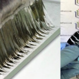 El MIT descubre un pegamento tan fuerte como el cartílago que es 90% agua