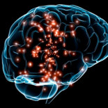 10 cosas que cambian tu cerebro