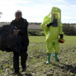 La NASA pide a los extraterrestres que dejen de tirar piedras a los murcianos