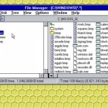 Windows 3.1 está vivo y es lo que afectó a un aeropuerto francés [eng]