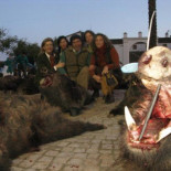 Sangre, dinero y alcohol: así es una montería por dentro