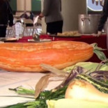 Nativos Americanos plantan semillas de hace 800 años y reviven una antigua variedad de calabacín