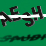 Arabia Saudita, un ISIS realizado - The New York Times [ENG]