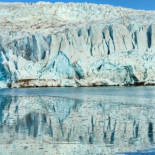 Un bosque tropical que se esconde bajo el hielo de Svalbard