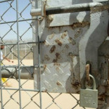 Cómo Estados Unidos contribuyó a la creación de Estado Islámico