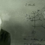 ¿Cómo llegó el darwinismo a España?