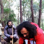Llenan las vías pecuarias con encinas y robles en protesta a las ocupaciones de los caminos públicos