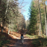 La Selva de Irati, el bosque encantado de Navarra