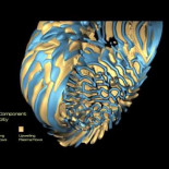 Simulación del interior de una estrella que gira rápidamente (ING)