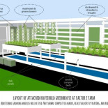 Proyecto open source modular para la creación de un sistema acuapónico que permita la autosuficiencia alimentaria [ENG]