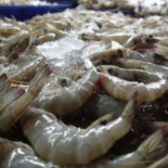 Nestlé y sus langostinos de trabajo esclavo