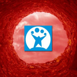 Softonic confirma su caída al infierno tras perder 21 millones de euros