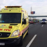 Una madre y su hija de 4 años, graves tras ser atacadas por sus dos perros peligrosos