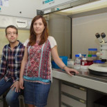 Constatan la posibilidad de que ocurra cáncer sin mutaciones en el ADN