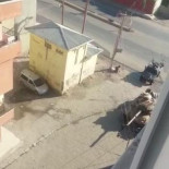 Tanque turco disparando dentro del área residencial de Silopi (Turquía)