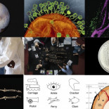 La revista Science elige los descubrimientos más relevantes del año 2015