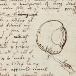 ¿Cuál es la “velocidad de la gravedad”?