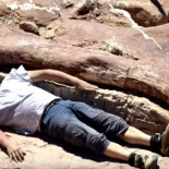 El nuevo Titanosaurio descubierto es tan colosal que apenas cabe en el museo