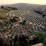 El talón de Aquiles de Podemos: el campo andaluz