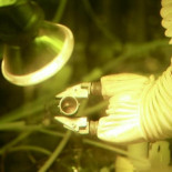 La NASA produce plutonio por primera vez en 30 años (¿otra vez?)