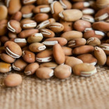 ¿Por qué las legumbres?