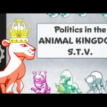 Voto único transferible - explicación ilustrada [ENG]