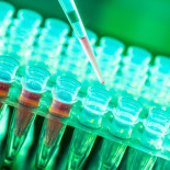 Un líquido inyectable ilumina las células cancerosas para facilitar su extracción