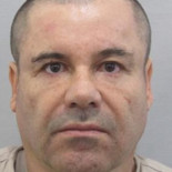 El Chapo Guzmán fue detenido, informa Peña Nieto
