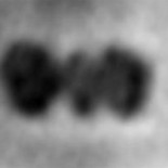 Primeras imágenes de proteínas gracias a hojas de grafeno [ENG]