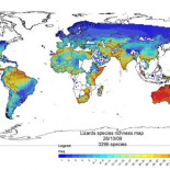 ¿Qué distingue realmente a los animales de sangre fría de los de sangre caliente?
