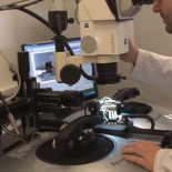 Multiplicar por 20 la velocidad de Internet: el objetivo de Teraboard