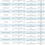 Un invierno en España que más parece primavera