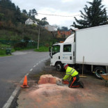 Talan un roble de 160 años en Ourense por unas obras de Fenosa [GAL]