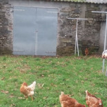 Denuncian por un delito de coacción y odio a los padres que intentaron echar de clase a un alumno con discapacidad