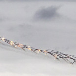 Aviones rusos y sirios destruyen convoy terrorista en Alepo: 300 muertos