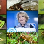 laSexta Columna enseña a Esperanza Aguirre a contar las ranas de su charca: alcaldes, diputados y consejeros