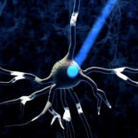 Neurocientíficos consiguen reescribir recuerdos y borrar adicciones en ratones usando luz