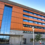 Panda se queda en Bilbao